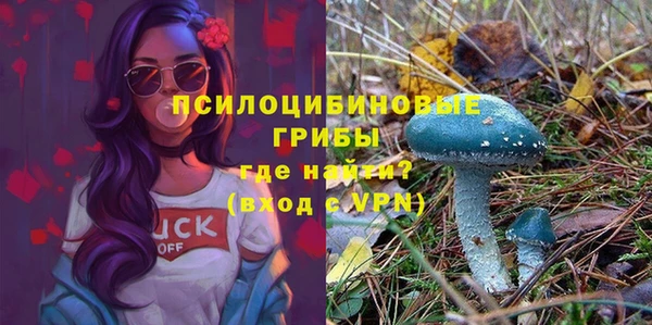 твердый Балабаново