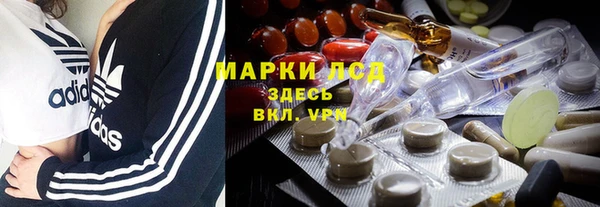 spice Баксан